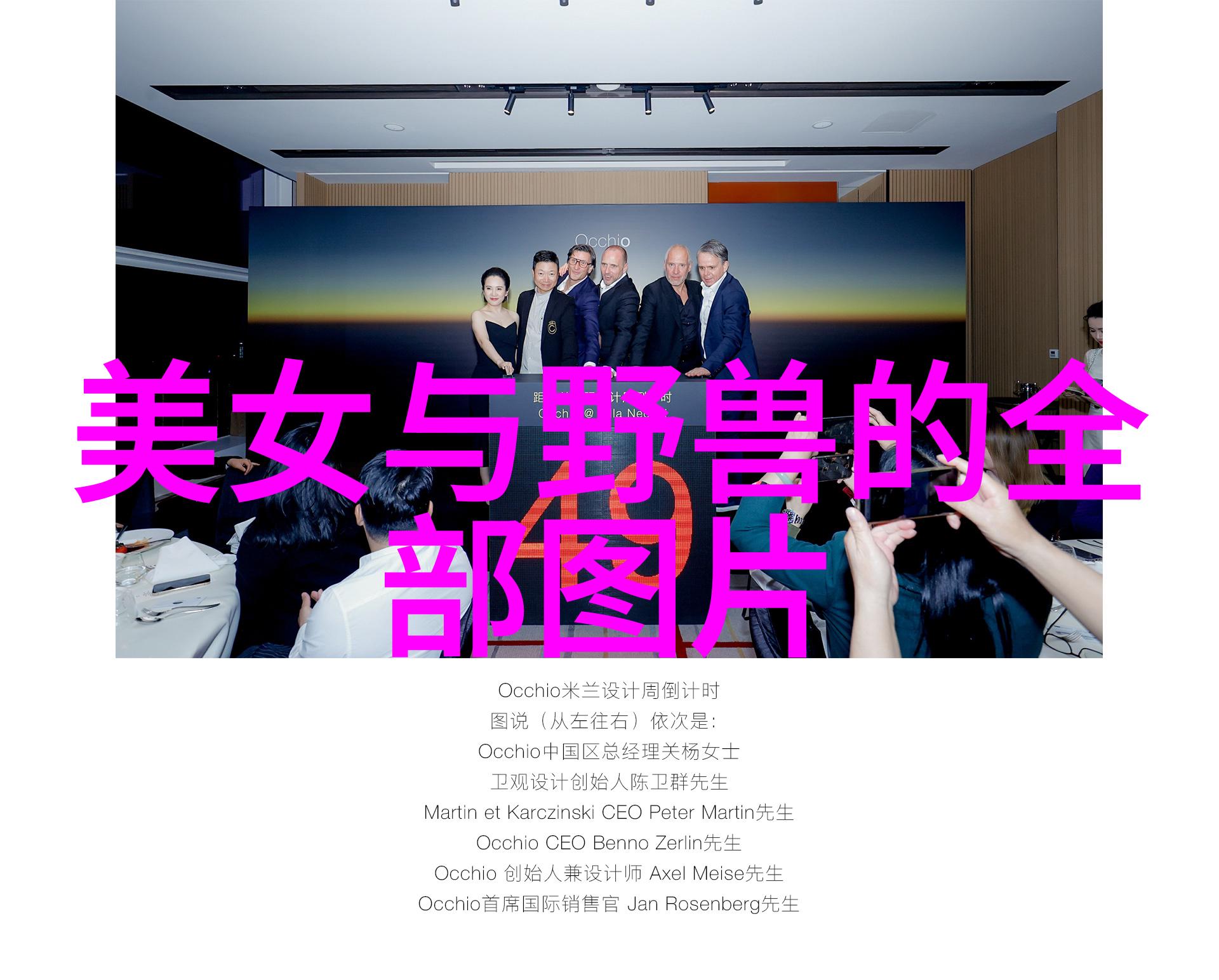乱码迷雾字幕之谜
