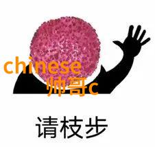 抗战电视剧排行榜热播前夕妻子的选择今日开播孙莉张瑶王真儿马吟吟聚焦女性人生选择揭示坚强女子在逆境中的