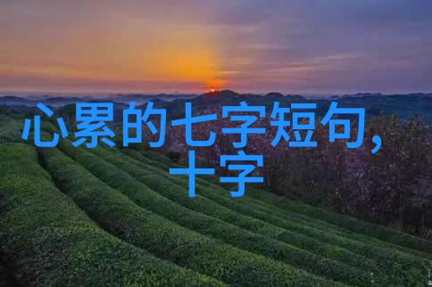 世界残酷写真尤物美女车模的绝命狂舞
