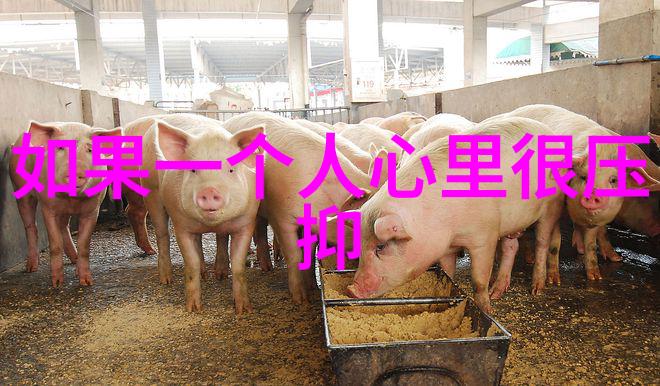 阳光总在风雨后但你知道怎么用一段简短文本来传达这一哲学吗