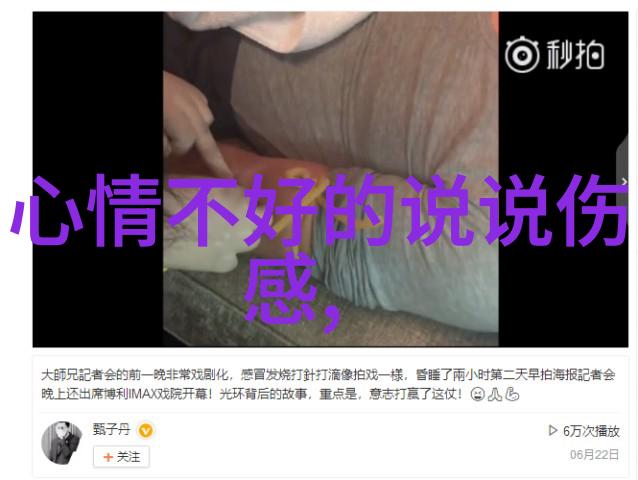 萌宠高清壁纸可爱动物高清图片集
