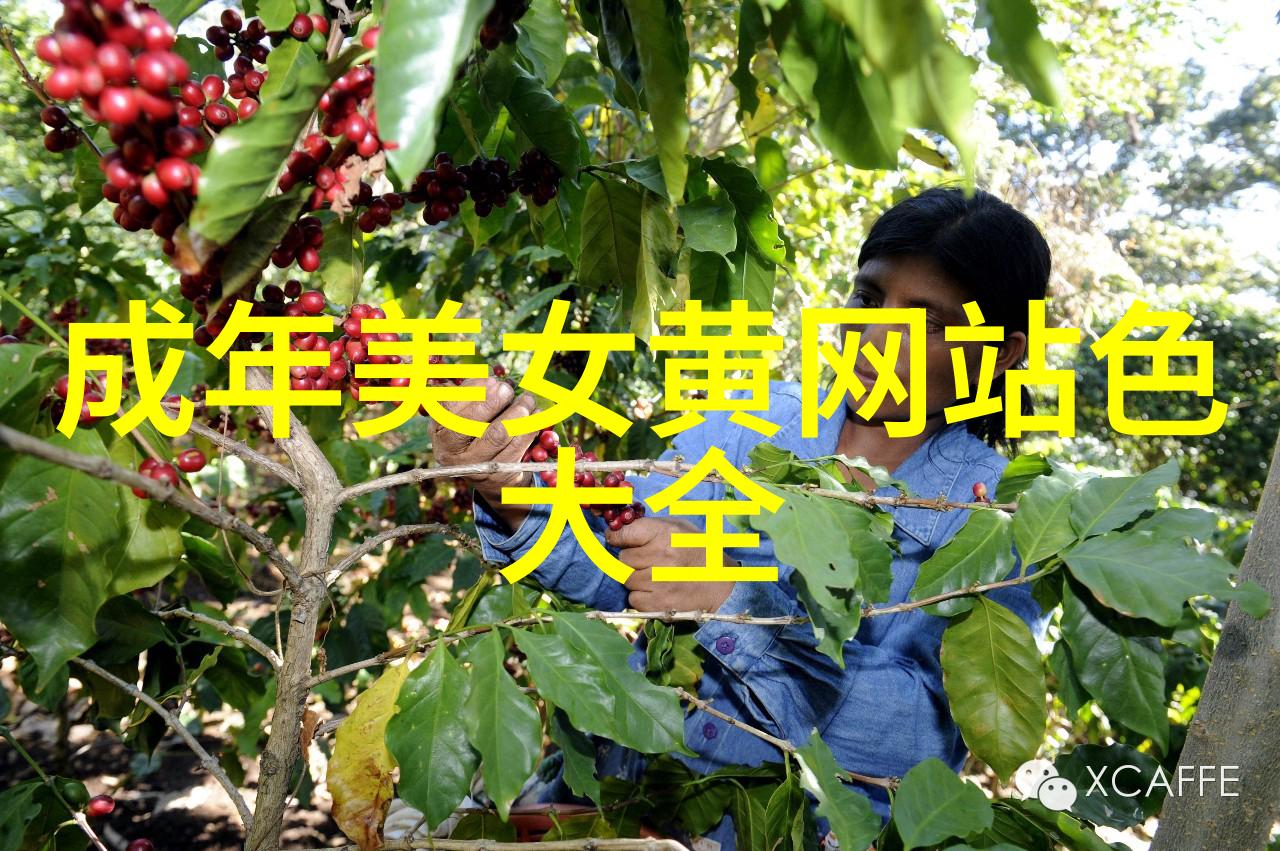 男神风采探秘帅哥视频背后的魅力