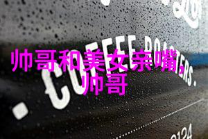 家中的小伙伴选择最合适的小宠物共享温馨的时光