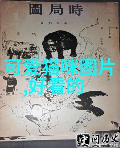 阴阳师手游角色名字大全避开命名禁忌创造独一无二的法术师