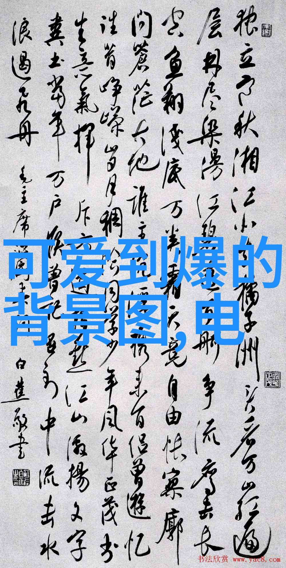 美女器官丽质之冠揭秘女性美的精髓