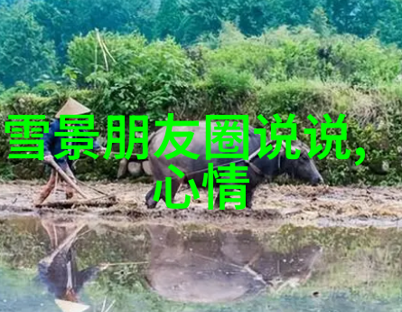 探秘影视史50部经典恐怖惊悚片的诱惑与魅力