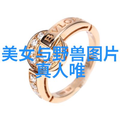 探索美的秘密我与那些令人叹为观止的女性相遇