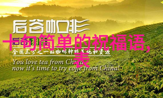 美女-倾城之恋探索美女背后的魅力与奥秘