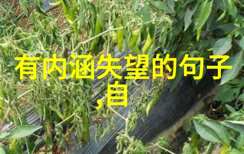 心情低落的调节之道轻松走出阴霾