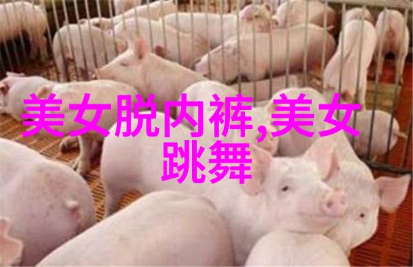 今天是世界大喵日记得给猫咪一点特别的关怀哦
