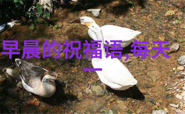 使用免费加微信群软件可能面临哪些隐私风险