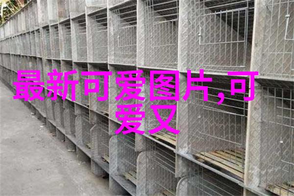 最新情侣网名换器搞笑幽默霸气升级