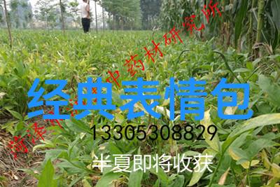 文艺有内涵女生网名推荐