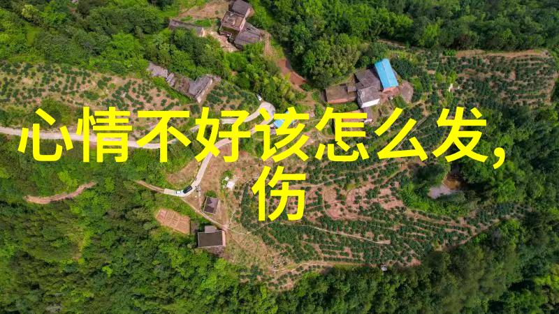 绽放的魅力她那高雅美丽的光芒