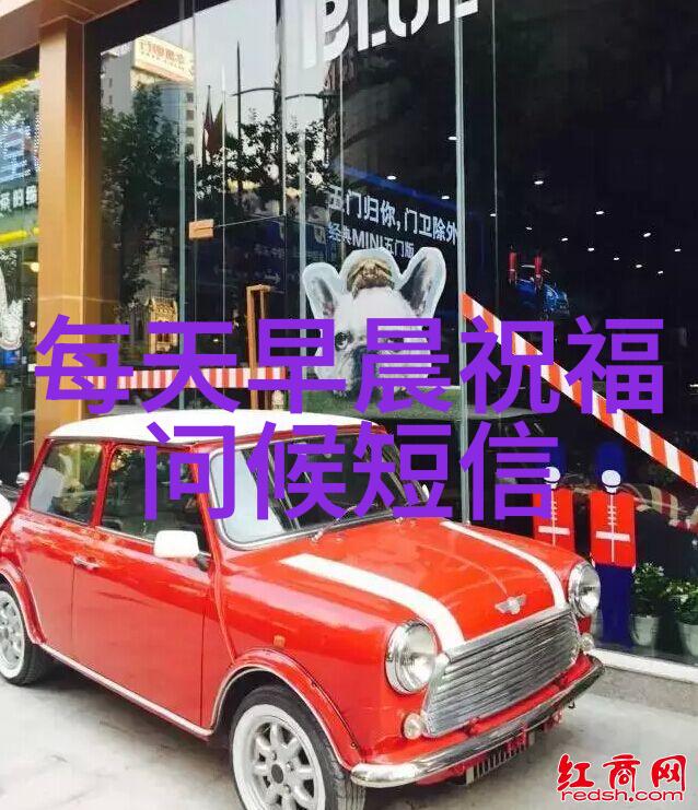 绽放的喜悦花轿中的一段美丽传说