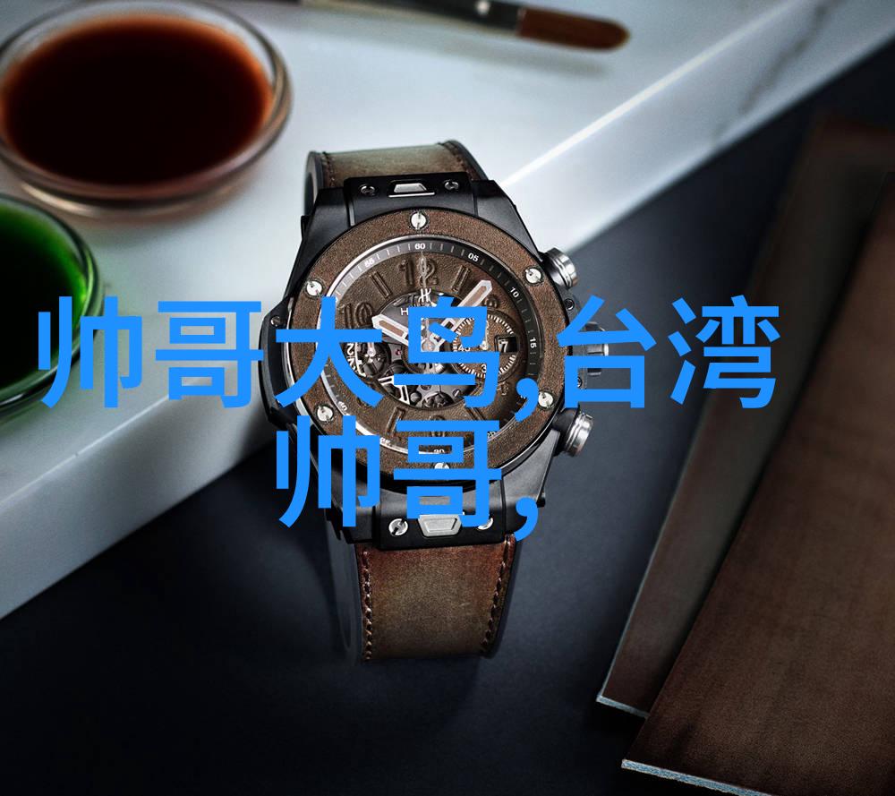 文化探索-中国帅哥的隐秘魅力揭秘同性恋群体