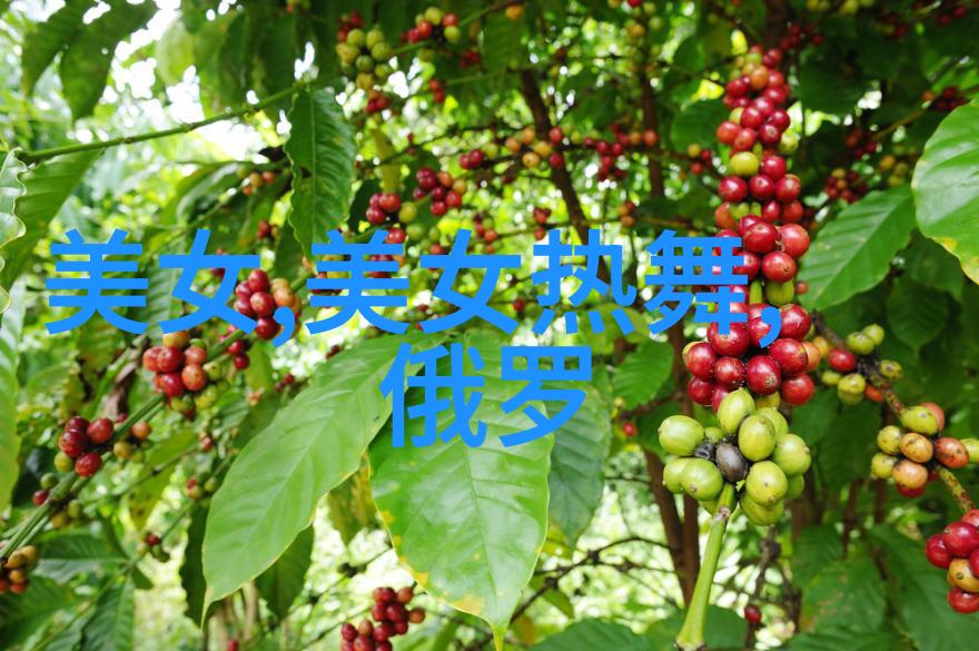 刘翔成长中的言语如同初学者画笔未必精准但人皆有进步之路