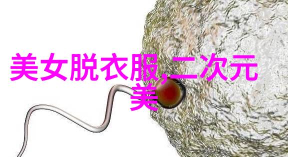 追逐梦想光明会艺人的成长轨迹