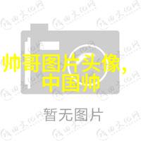 花木兰评分海内外不同敢死队4电影人物评价令人担忧