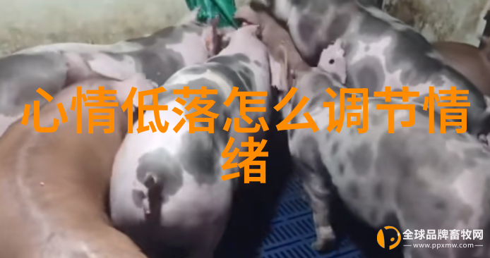一卡通应用北京市民的生活新助手