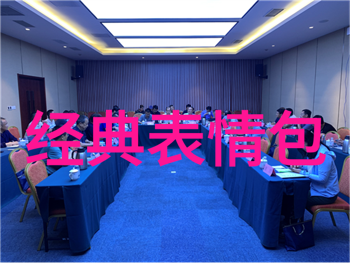 舞动的魅力美女的轻盈旋转