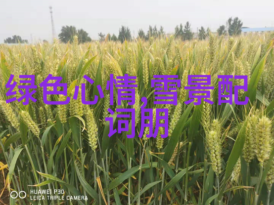 从剧本到银幕致我们单纯的小美好这样的青春故事背后有什么样的创作过程
