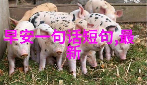 跨文化传播中的角色扮演谁应该负责提供高质量的中文字幕