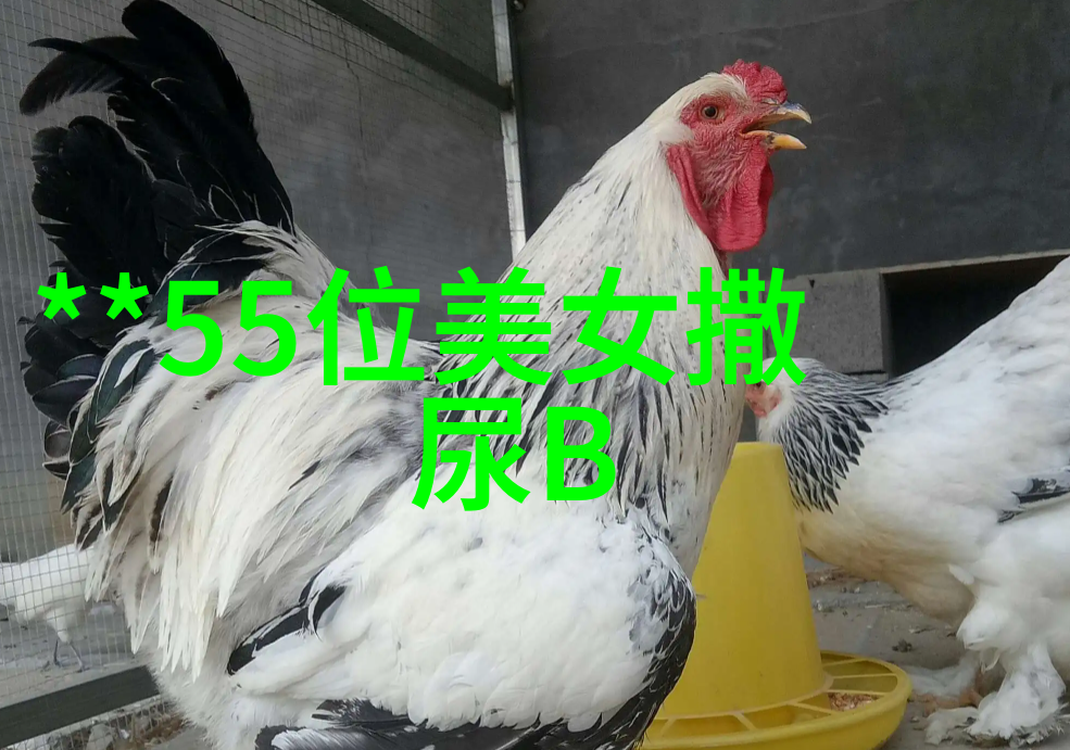 牛郎织女连环画6张配文字简单我来讲你一段关于牛郎织女的故事吧