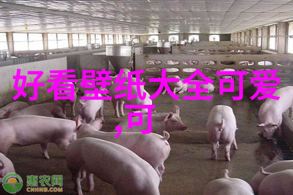 探究中国汉字中的冷门之美一百个鲜为人知的繁体字及其文化背后故事
