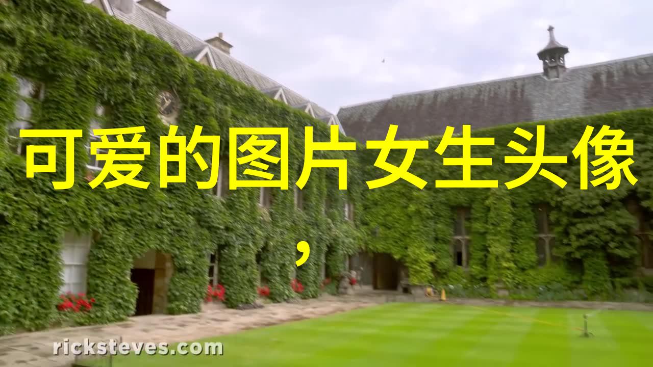 夏日波光海滩上的绽放