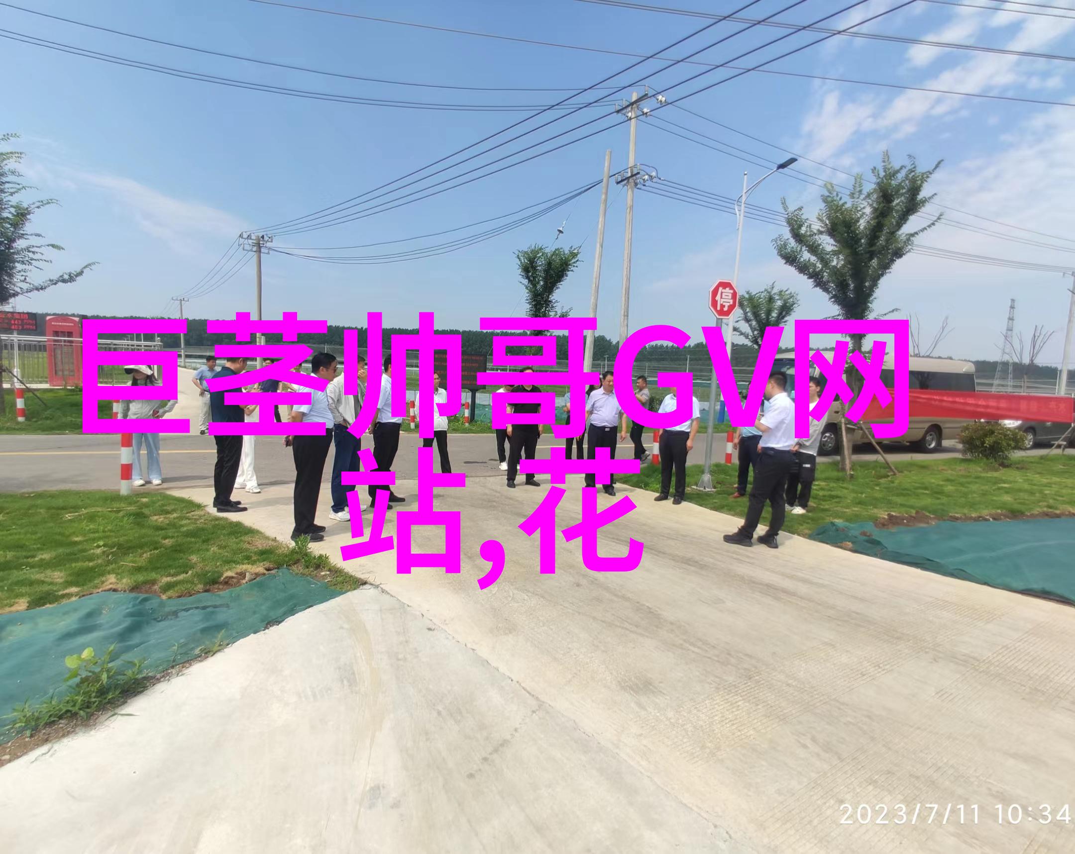 王思聪怀孕的阿拉斯加狗该怎么养