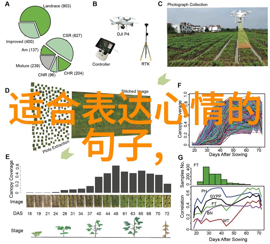 陈玉莲在大陆合法吗她是传奇中的传奇花开一瞬但她的故事跨越千年