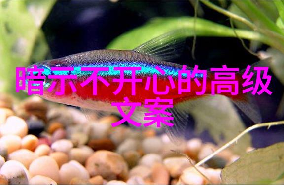 小可女神画像精美创意的女性超级美少女图片集合