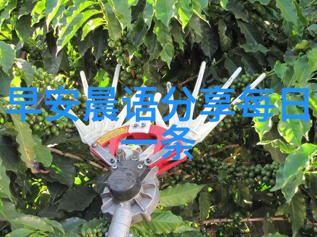 群聊奇缘从噼里啪啦到哇塞