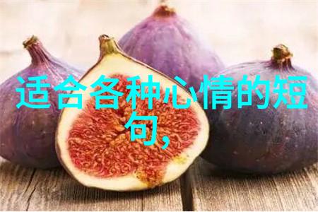 完蛋我被美女包围了系列游戏虚拟恋爱模拟