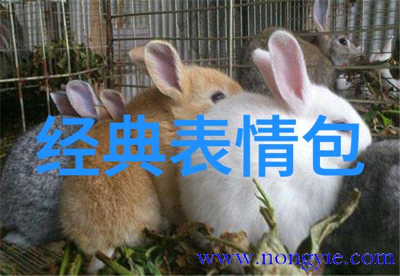 2022年冬至励志网名推荐为社会增添温暖的好听名字