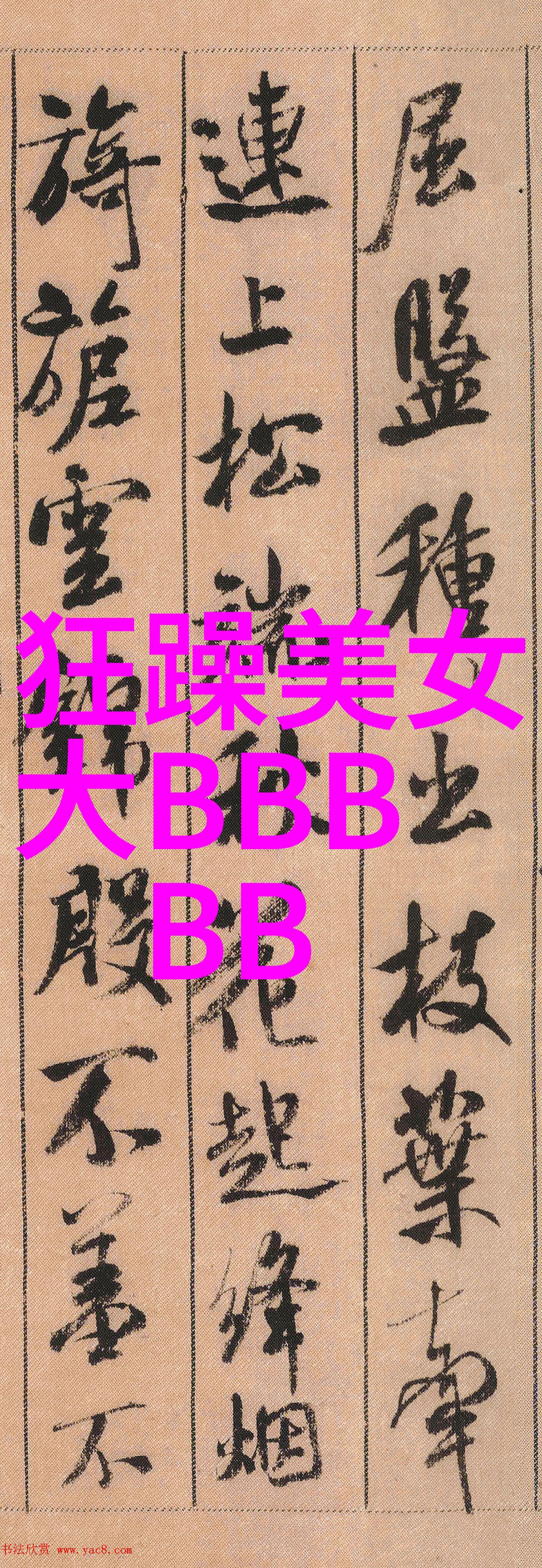 冬至的暖阳与圣诞的礼物12月的节日是温馨与欢乐的交响曲