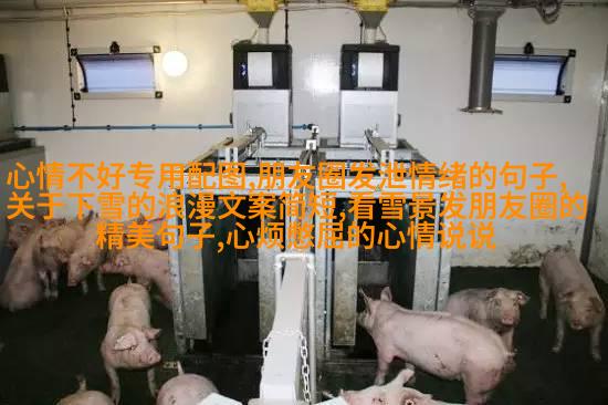 图片可爱萌萌哒
