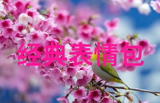 一前一后三个人轮换躁B我和兄弟们的无聊夏日
