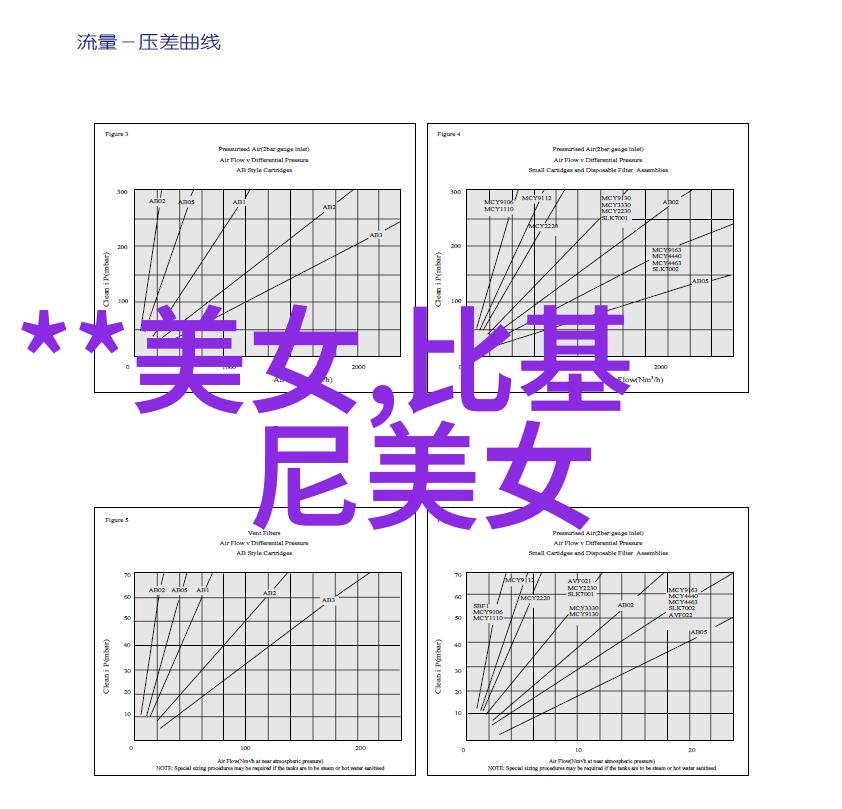 探索汉字之源中国汉字演变过程(图)解析