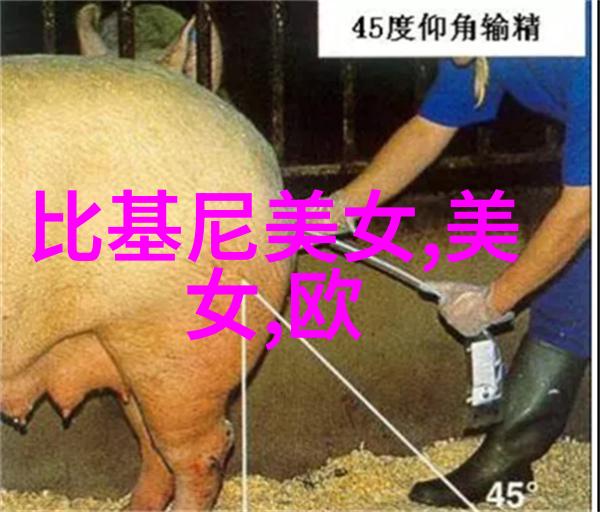 情感的纹理探索心灵深处的情感波动与内心世界的色彩