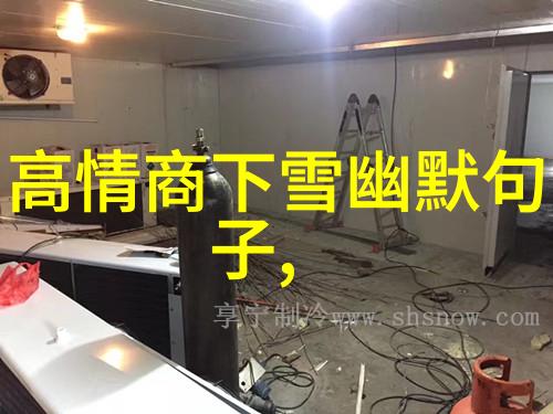 数字时代的版权战役偷中文字幕对电影市场的影响