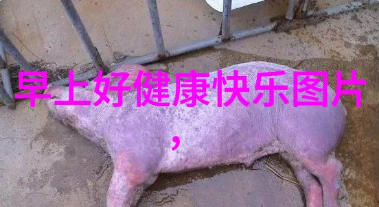 浪漫爱情-甜蜜的热吻美女和帅哥的情感纽带
