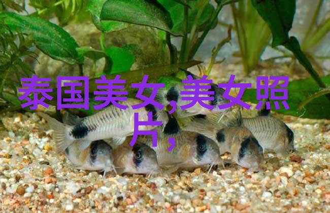 恐怖影片快速剪辑吓人电影10秒速效剪辑