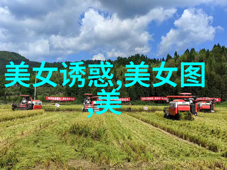 在快速变化的世界里这些经典或新兴的人生感悟能否继续激励并引导未来的世代