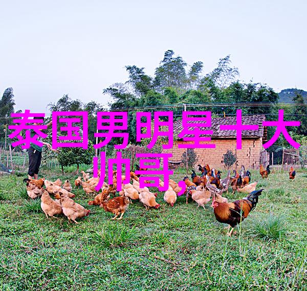 森系复古微博网名2021精选自然之美霸气时尚煮酒论道