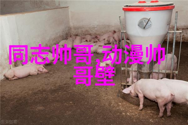 探秘大香伊蕉最新视频揭开网络热门剧集背后的故事