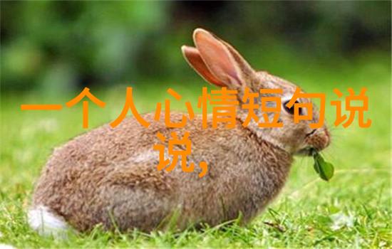 温暖心房探索可爱图片背后的艺术魅力