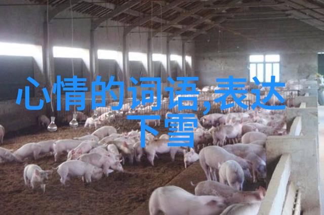 字体选择对整体氛围影响很大吗
