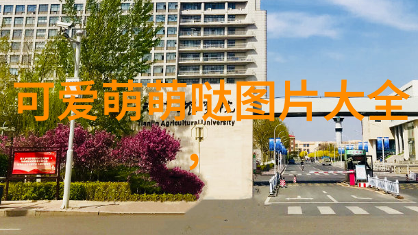 萌动心扉可爱头像的抽象幻想